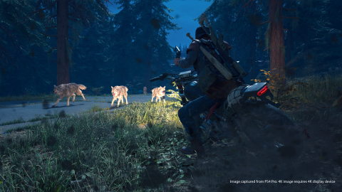 Days Gone : Welcome to Zombieland