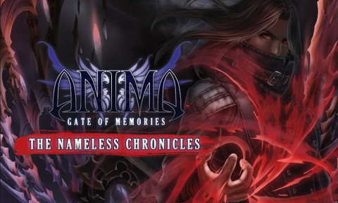 Anima : Gate of Memories - The Nameless Chronicles sur Switch
