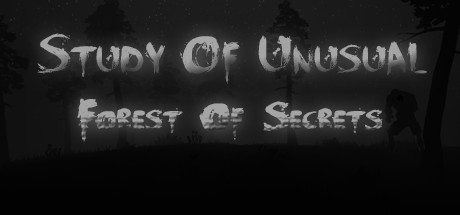 Study of Unusual: Forest of Secrets sur PC