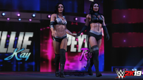 WWE 2K19 : les nouveautés de gameplay détaillées par les développeurs