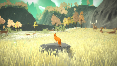 The First Tree : l'aventure dans la peau d'un renard arrive le 30 novembre sur consoles