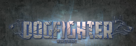 Dogfighter World War 2 sur PS4