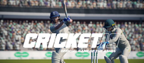 Ashes Cricket 19 sur PC
