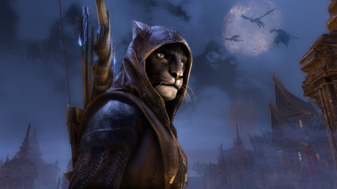 The Elder Scrolls Online : découvrez Elsweyr avant l'heure sur le serveur de test
