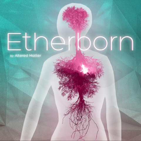 Etherborn sur PS4