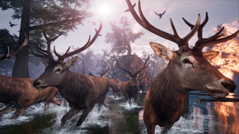 AWAY : The Survival Series, quand le jeu vidéo s'inspire des documentaires animaliers