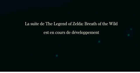 E3 2019 : Résumé de la conférence Nintendo - Breath of the Wild 2 se dévoile