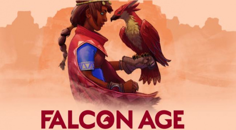Falcon Age sur PC