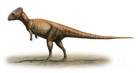 Jurassic World Evolution accueille trois nouveaux herbivores