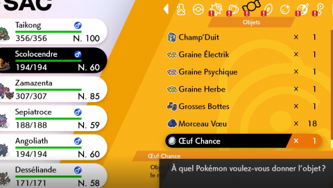 Pokémon Épée / Bouclier, oeuf chance : où et comment en trouver ?