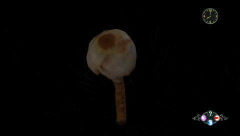 Le champignon rare