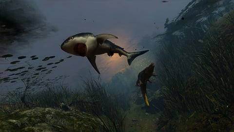 Maneater : On a joué au RPG qui nous fait incarner un requin