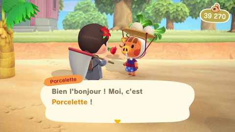 Animal Crossing New Horizons : Que faire si on s'ennuie ?