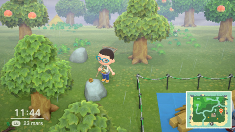 Animal Crossing New Horizons : obtenir le filet, liste complète des insectes