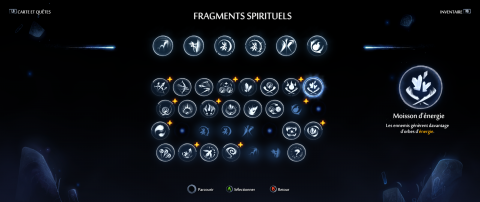 Fragments spirituels : Bassins de Luma