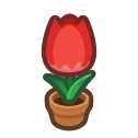 Tout savoir sur la reproduction des tulipes