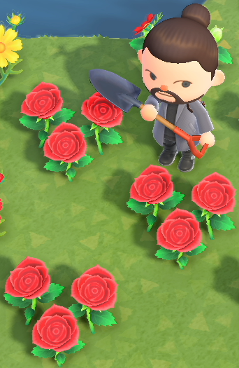 Animal Crossing New Horizons, roses d'or : comment les faire pousser ? Notre guide