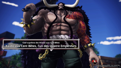 One Piece Pirate Warriors 4 : comment débloquer tous les personnages ? Liste complète