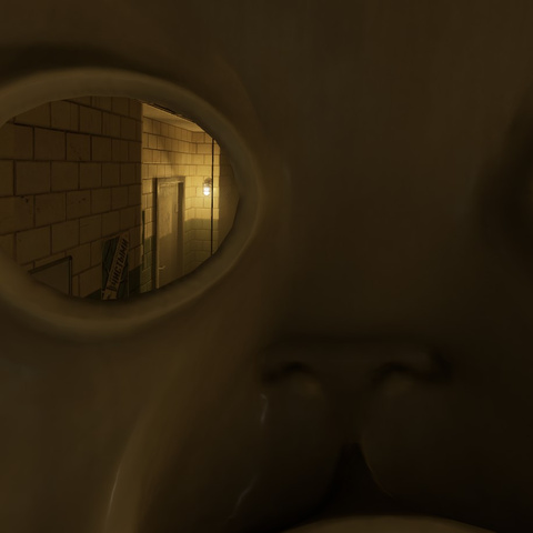 Chapitre 8 : Captivité