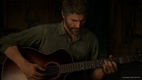Ce détail caché de The Last of Us 2 rend le jeu encore plus triste qu'il ne l'est déjà