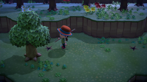 Animal Crossing New Horizons, fossiles : comment ça marche ?