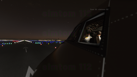 Microsoft Flight Simulator : Les nouvelles images de l'alpha V3