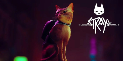 Stray sur PS5