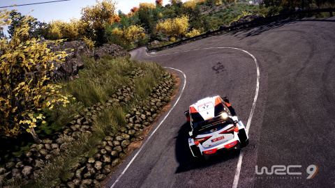 WRC 9 dévoile quatre nouvelles images pour le Rallye du Japon