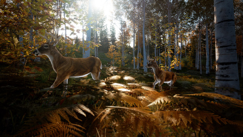 Hunting Simulator 2 aura droit à ses versions next-gen