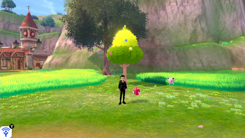 Pokémon Épée / Bouclier : arbres à baies du DLC, emplacements, utilité, notre guide