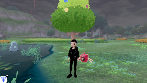 Pokémon Épée / Bouclier : arbres à baies du DLC, emplacements, utilité, notre guide