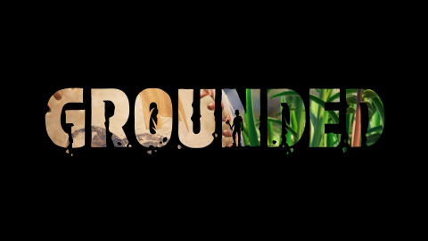 Grounded sur PC