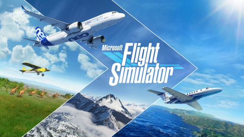 Microsoft Flight Simulator sur PC
