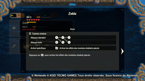 Zelda, fiche de personnage