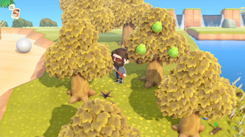 Animal Crossing New Horizons, les champignons : où les trouver et leur utilité ? Notre guide