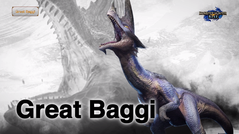 Grand Baggi