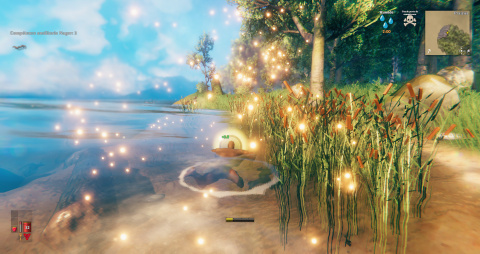Valheim, guide to getting started: some tips to know