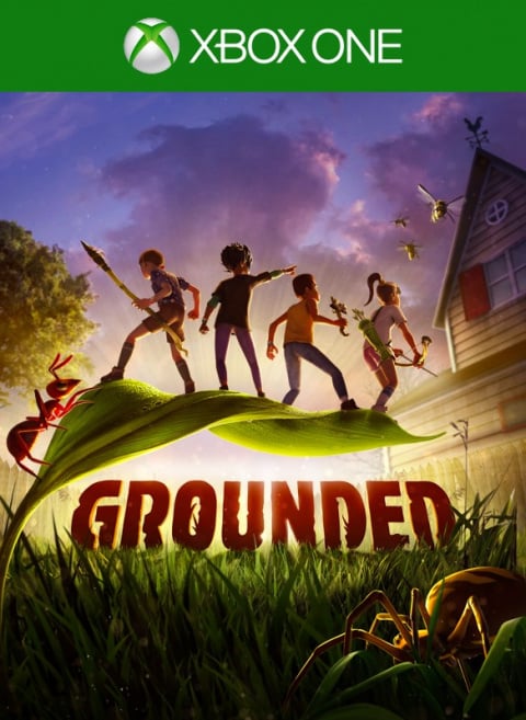 Grounded sur ONE