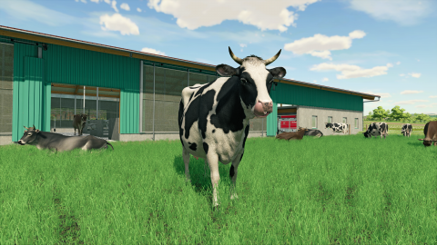 Farming Simulator 22 : Le bonheur est dans le pré ?