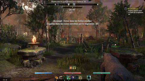 The Elder Scrolls Online Blackwood : efficace, mais sans réelle surprise
