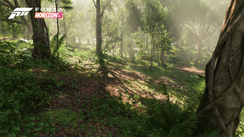Forza Horizon 5 : Playground Games nous donne un avant-goût des somptueux décors du jeu