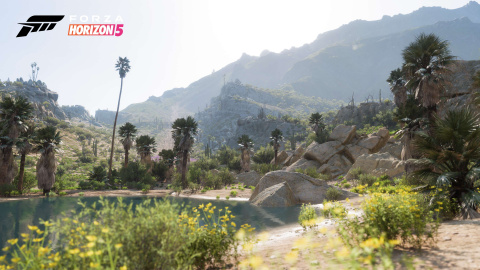 Forza Horizon 5 : Playground Games nous donne un avant-goût des somptueux décors du jeu