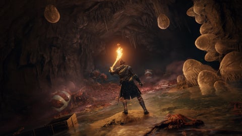 Elden Ring : on a vu le titre le plus ambitieux de From Software (Dark Souls)