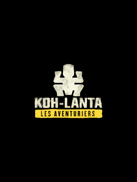 Koh-Lanta : Les Aventuriers sur PC