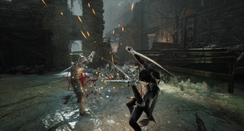 Thyme: After the Elden Ring, the bloodborne future of PC?  We saw in the demo of these souls like