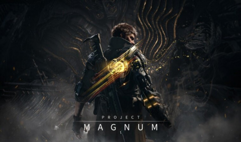 Project Magnum sur PC