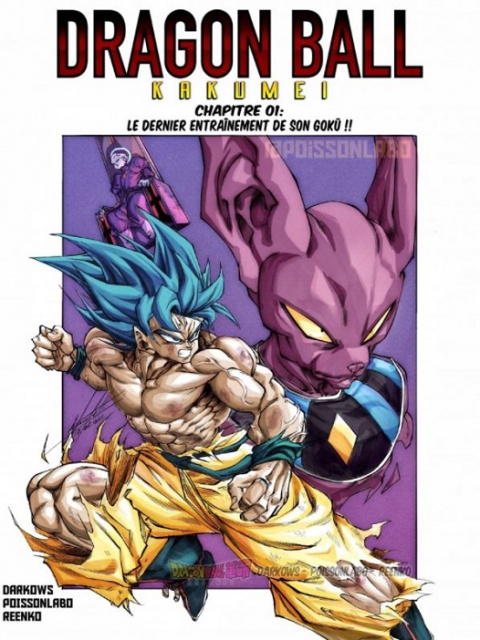Dragon Ball Kakumei : Le manga des fans se dote d'un second chapitre