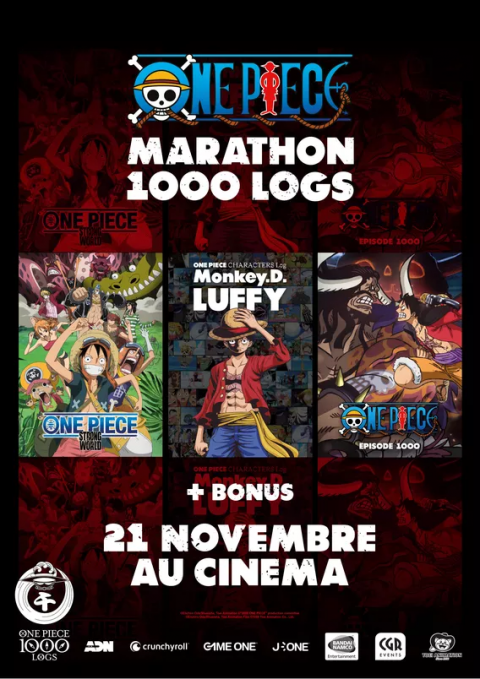 One Piece : Le 1000ème épisode sera diffusé en France dans les meilleures conditions