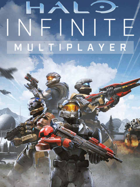 Halo Infinite Multiplayer sur PC