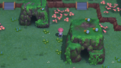 Pokémon Diamant / Perle : Parc Rosa Rugosa, comment le débloquer, notre guide